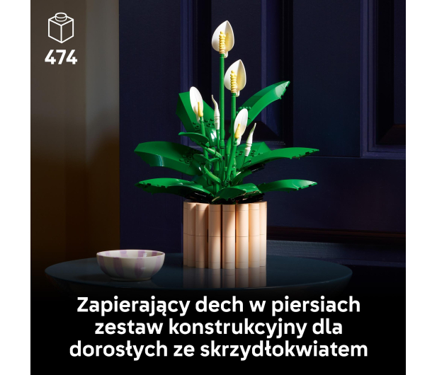 LEGO BOTANICALS 11504 Skrzydłokwiat - 1473410 - zdjęcie 4